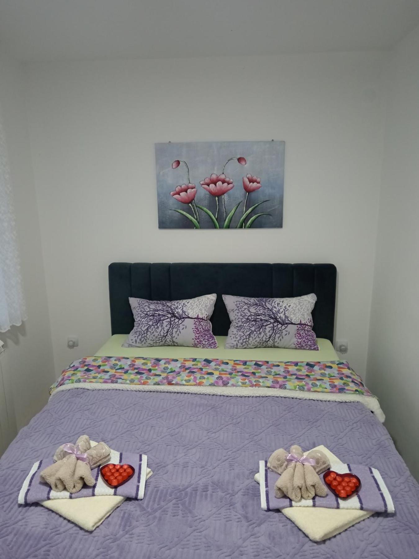Apartman Lara Pirot Pokoj fotografie