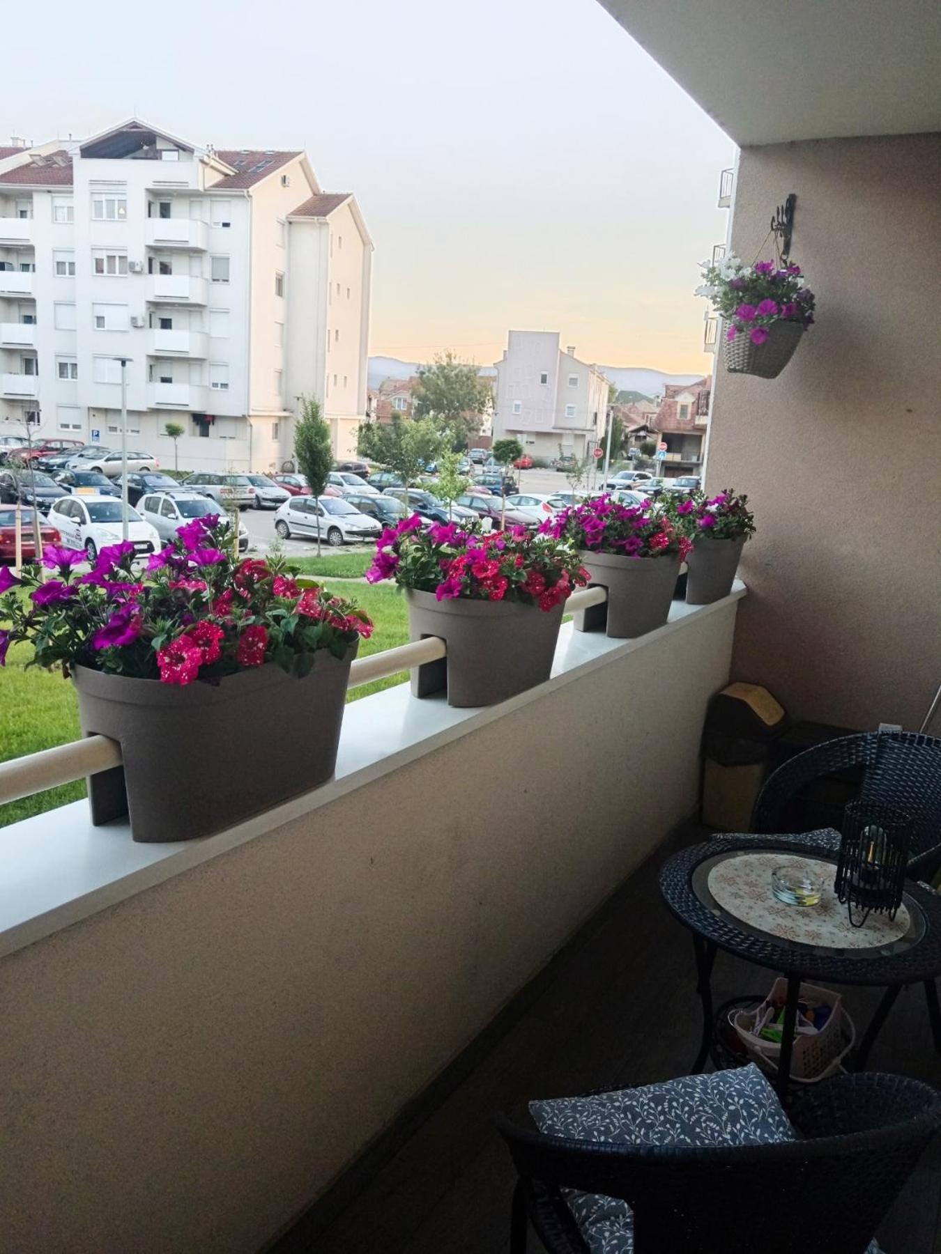 Apartman Lara Pirot Exteriér fotografie