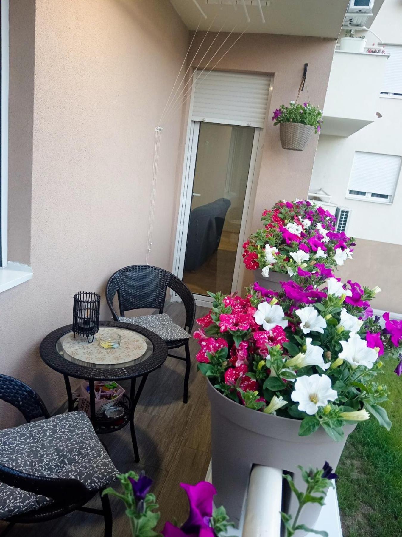 Apartman Lara Pirot Exteriér fotografie